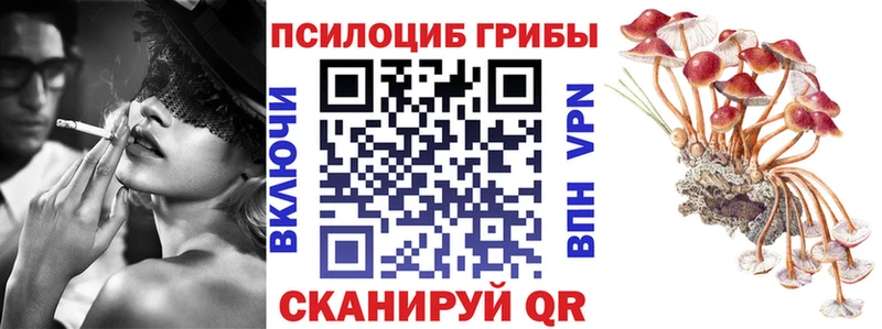 Купить  Старый Крым  Псилоцибиновые грибы Magic Shrooms 